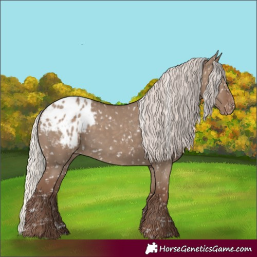 Horse Color:Silver Grullo Blanket