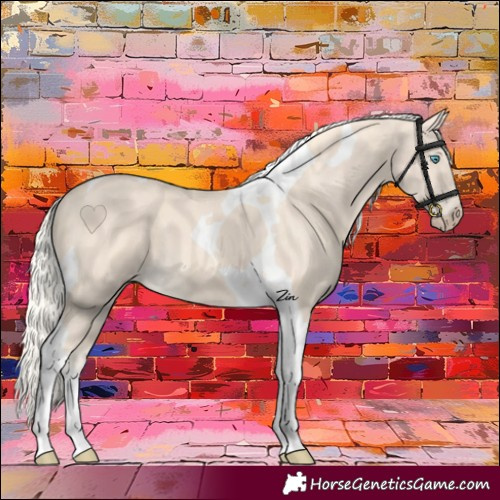 Horse Color:Cremello Tobiano 