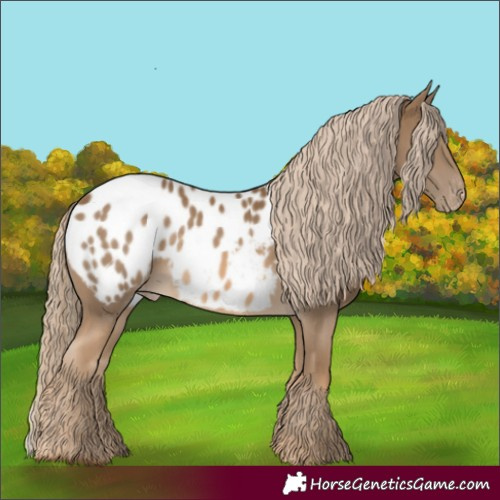 Horse Color:Chocolate Palomino Blanket