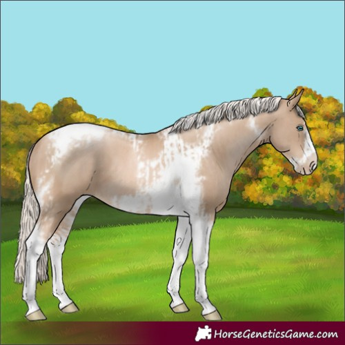 Horse Color:Chocolate Palomino Pearl Tobiano Frame and Chocolate Palomino Pearl Tobiano Frame