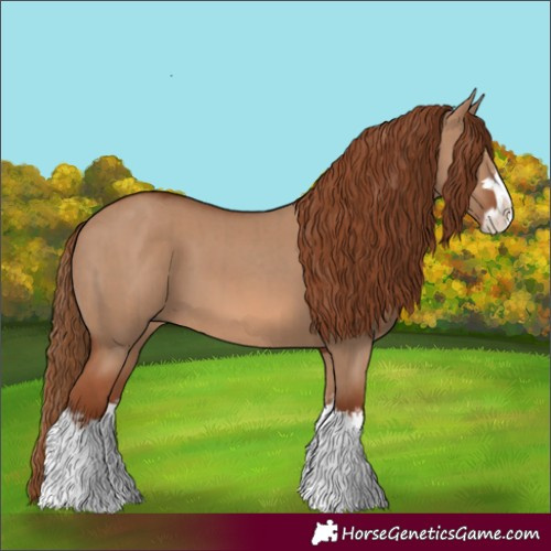Horse Color:Red Dun Splash and Red Dun Splash
