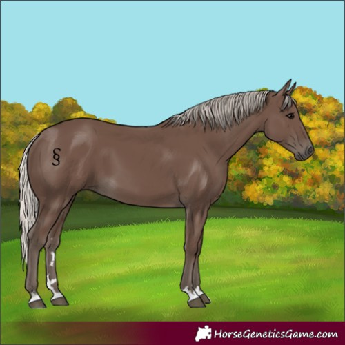 Horse Color:Silver Black 