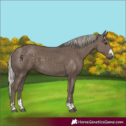 Horse Color:Silver Black 