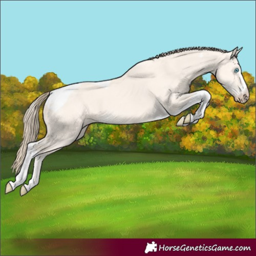 Horse Color:Perlino Dun Tobiano 