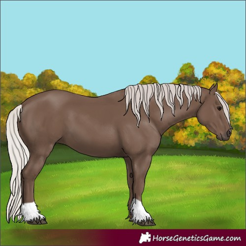 Horse Color:Silver Black