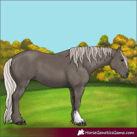 Horse Color:Silver Black