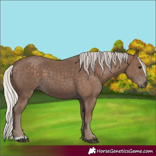 Horse Color:Silver Black 