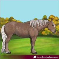 Horse Color:Silver Black 