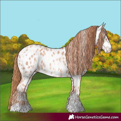 Horse Color:Gold Champagne Dun Near Leopard  and Gold Champagne Near Leopard 