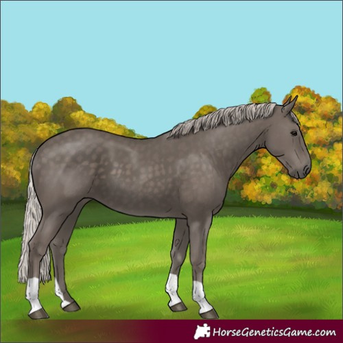 Horse Color:Silver Black 