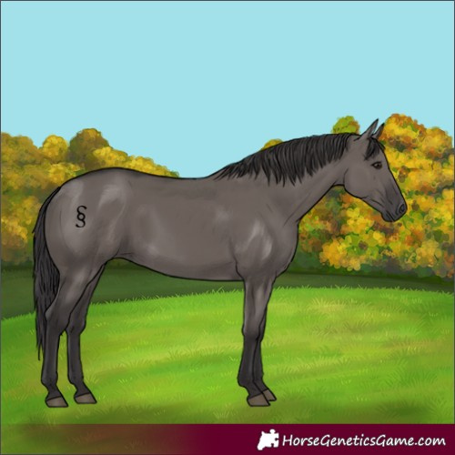 Horse Color:Smoky Grullo 