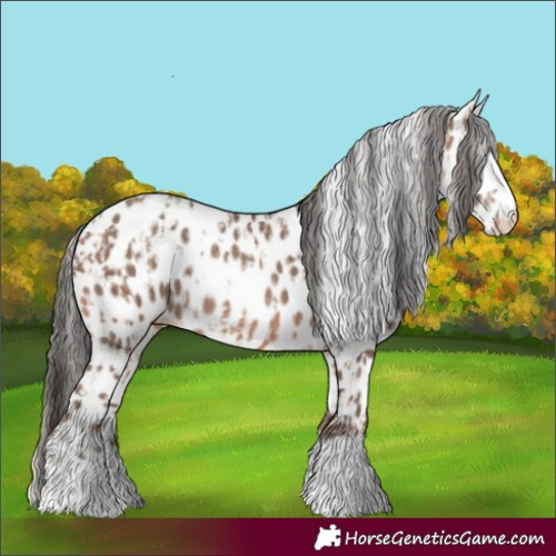 Horse Color:Amber Champagne Leopard  and Sable Champagne Leopard 