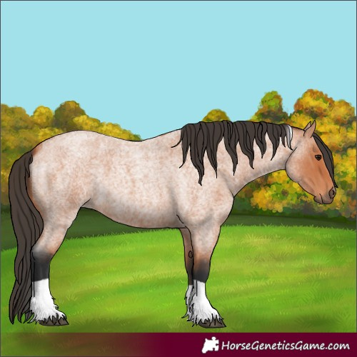 Horse Color:Bay Roan Tobiano 