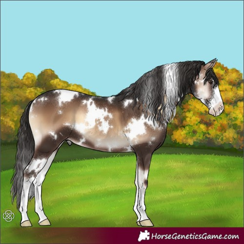 Horse Color:White Spotted Liver Red Onyx Sabino