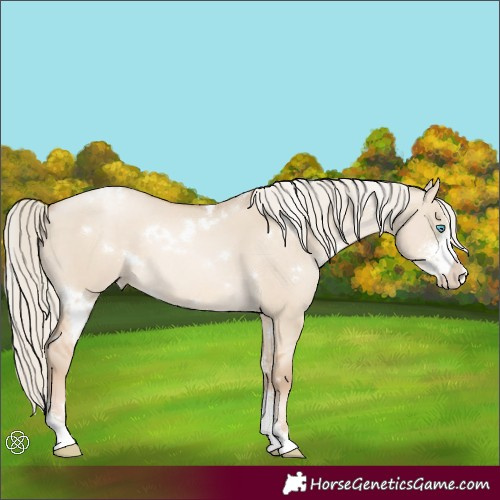 Horse Color:White Spotted Chocolate Palomino Pearl Dun Sabino 