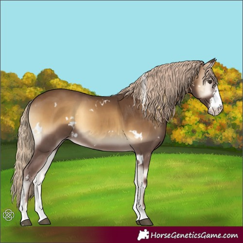 Horse Color:White Spotted Chocolate Palomino Onyx Sabino 
