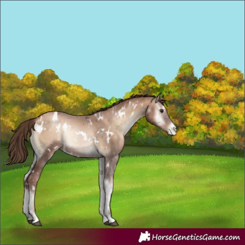Horse Color:White Spotted Liver Red Onyx Pearl 