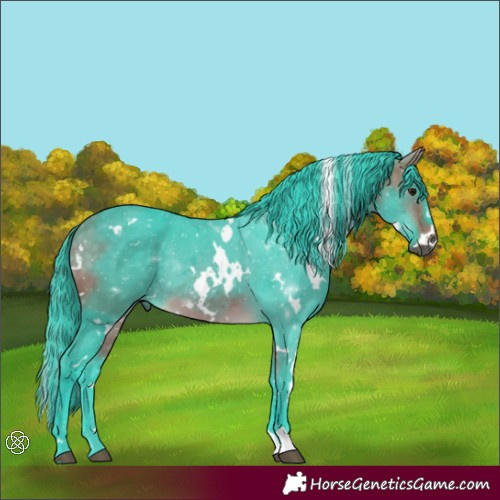 Horse Color:Watercolor White Spotted Buckskin Rabicano 