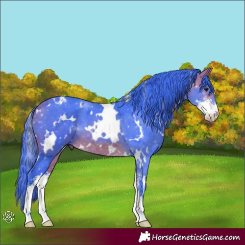 Horse Color:Watercolor White Spotted Buckskin Sabino