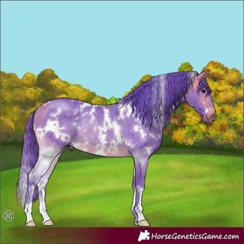 Horse Color:Watercolor White Spotted Buckskin Rabicano