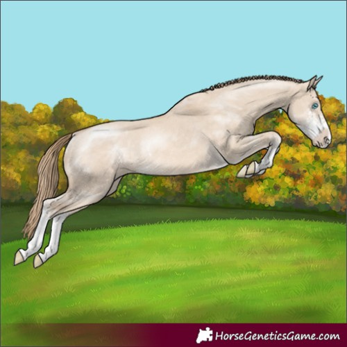 Horse Color:Perlino Dun Sabino Rabicano