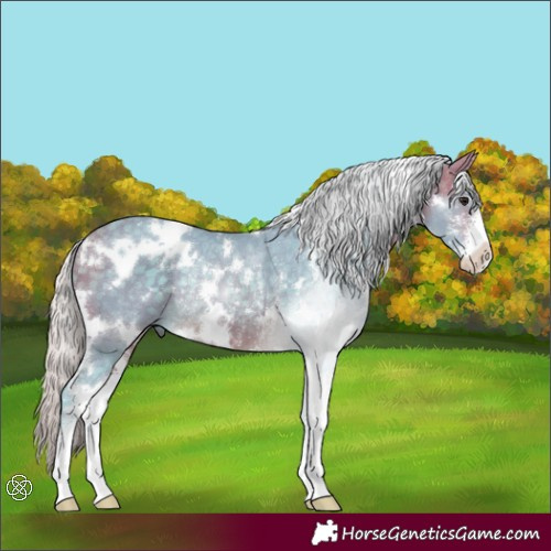Horse Color:Watercolor White Spotted Silver Buckskin Sabino Rabicano