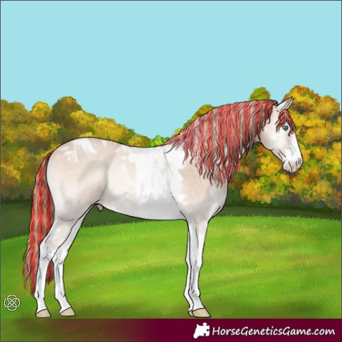 Horse Color:Painted Smoky Creme Onyx Sabino Tobiano 