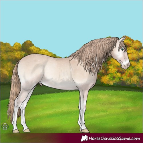 Horse Color:Smoky Creme Onyx Sabino Tobiano 