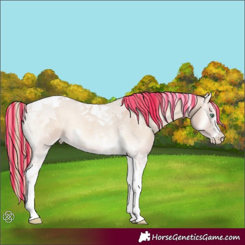 Horse Color:Painted Smoky Creme Onyx Sabino Tobiano 