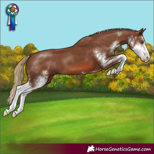 Horse Color:Chestnut Sabino 