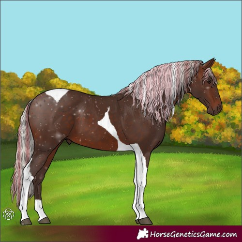 Horse Color:Painted Silver Brown Tobiano