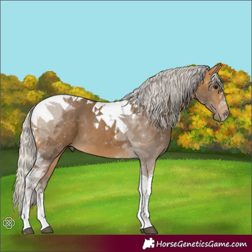 Horse Color:Silver Buckskin Tobiano