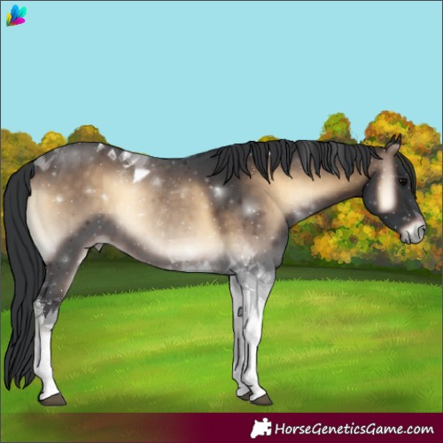 Horse Color:Brown Onyx Tobiano