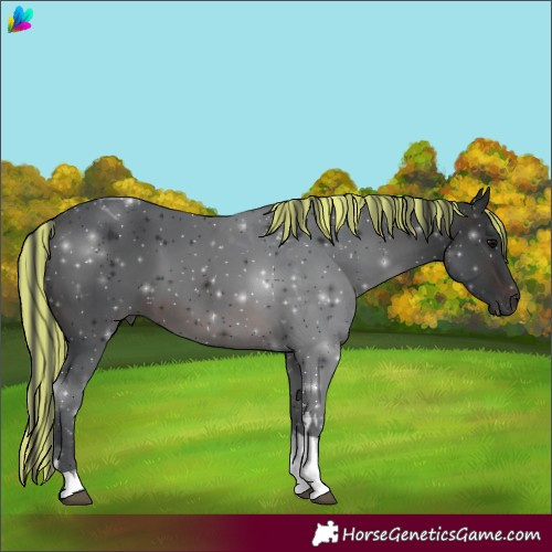 Horse Color:Painted Brown Tobiano