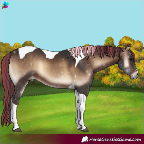 Horse Color:Painted Brown Onyx Tobiano 