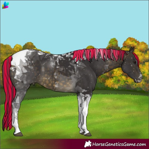 Horse Color:Painted Buckskin Tobiano 