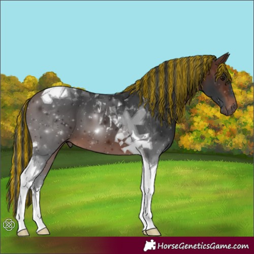 Horse Color:Painted Brown Tobiano 