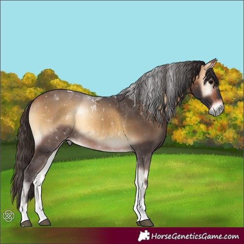 Horse Color:Buckskin Onyx Tobiano 