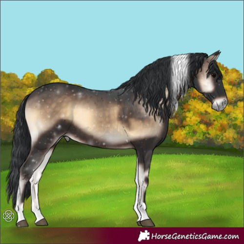 Horse Color:Brown Onyx Tobiano 