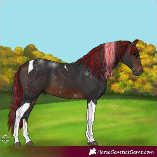 Horse Color:Painted Brown Tobiano 