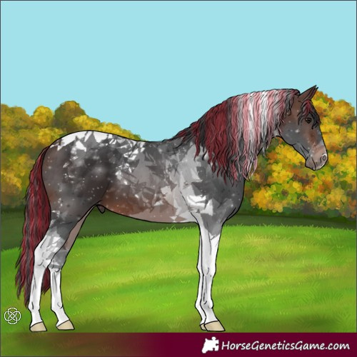 Horse Color:Painted Brown Tobiano