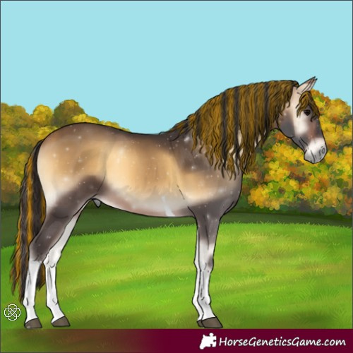 Horse Color:Painted Buckskin Onyx Tobiano