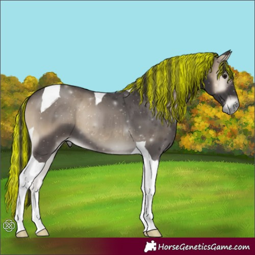 Horse Color:Painted Smoky Blue Onyx Tobiano