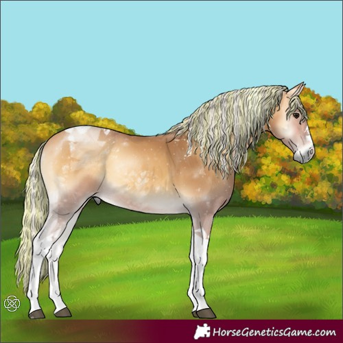 Horse Color:Painted Silver Buckskin Onyx Tobiano
