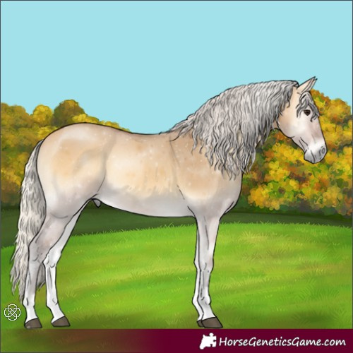 Horse Color:Silver Buckskin Onyx Tobiano