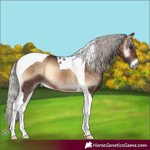 Horse Color:Silver Brown Onyx Tobiano