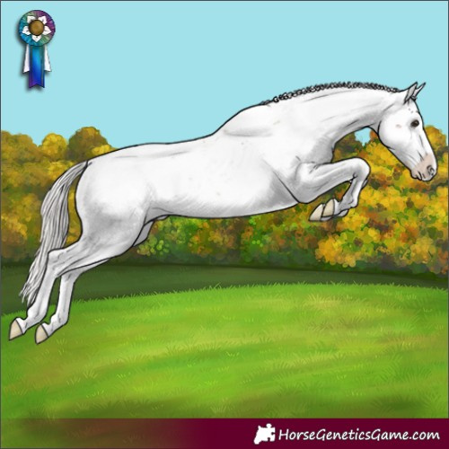 Horse Color:Silver Bay Sabino 