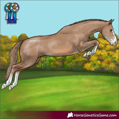 Horse Color:Red Dun Sabino
