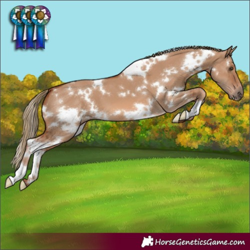 Horse Color:White Spotted Red Dun 