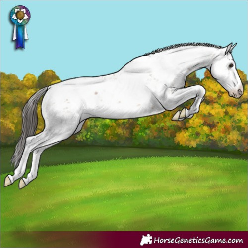 Horse Color:Bay Dun Sabino